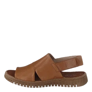 483-4303 Cognac
