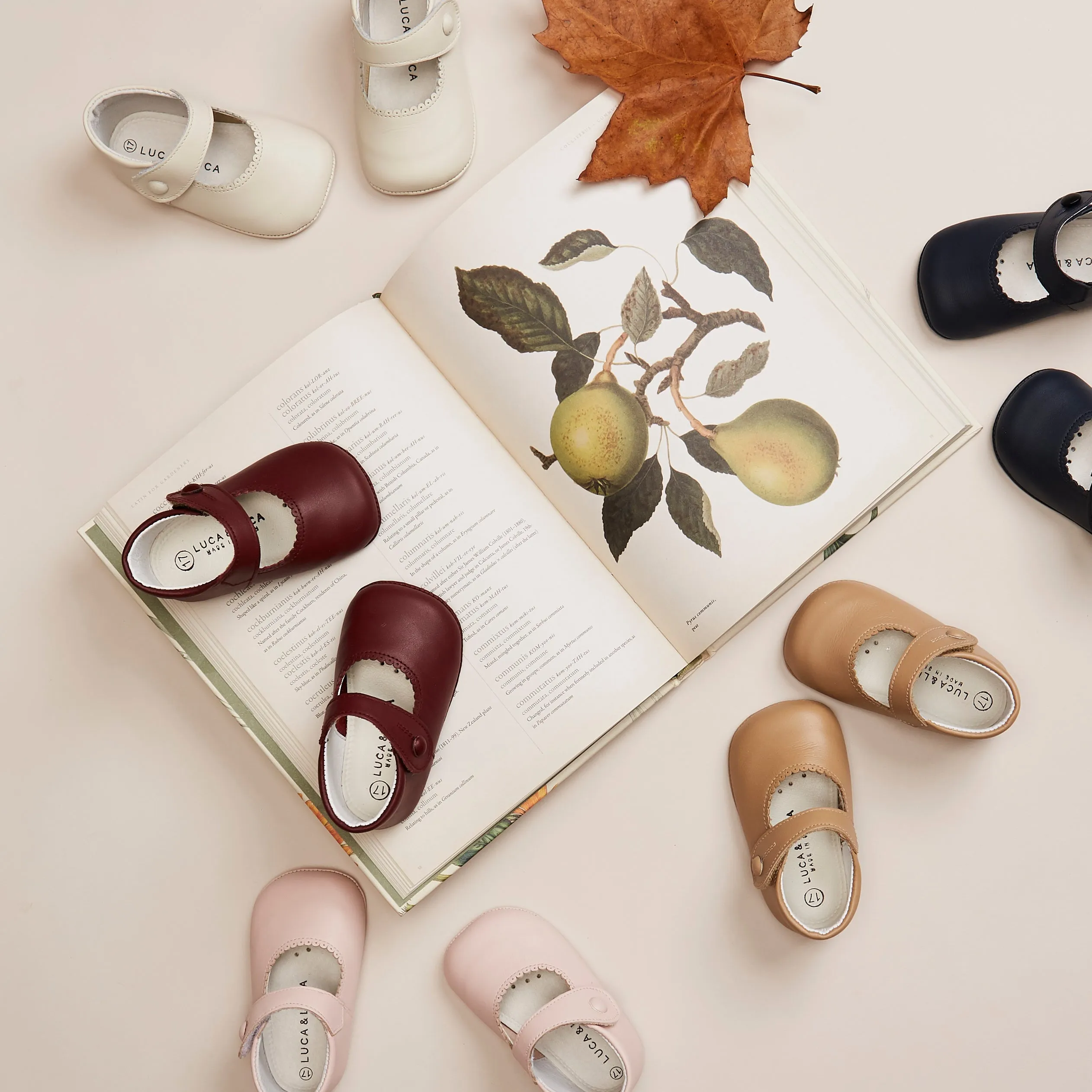 CAMEL MARY-JANE PRAM SHOES